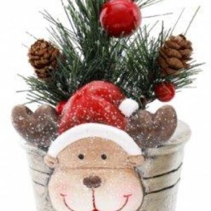 Christmas Foliage in Tin Pot Rudolph 9.5cm