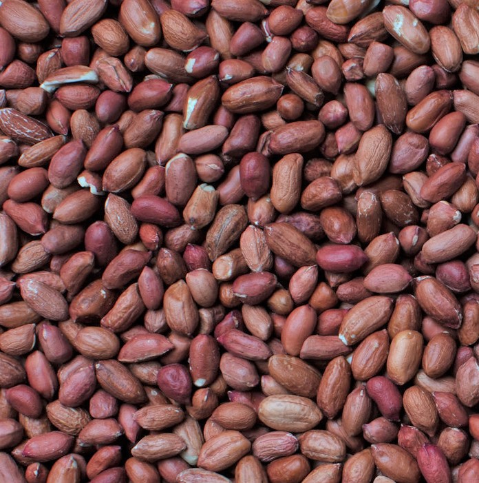 Bird Feed Peanuts Booster Mix 2Kg - Image 2