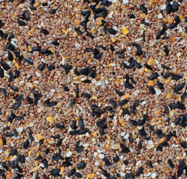 Bird Feed Suoerior Seed Mix Booster Mix 2Kg - Image 2