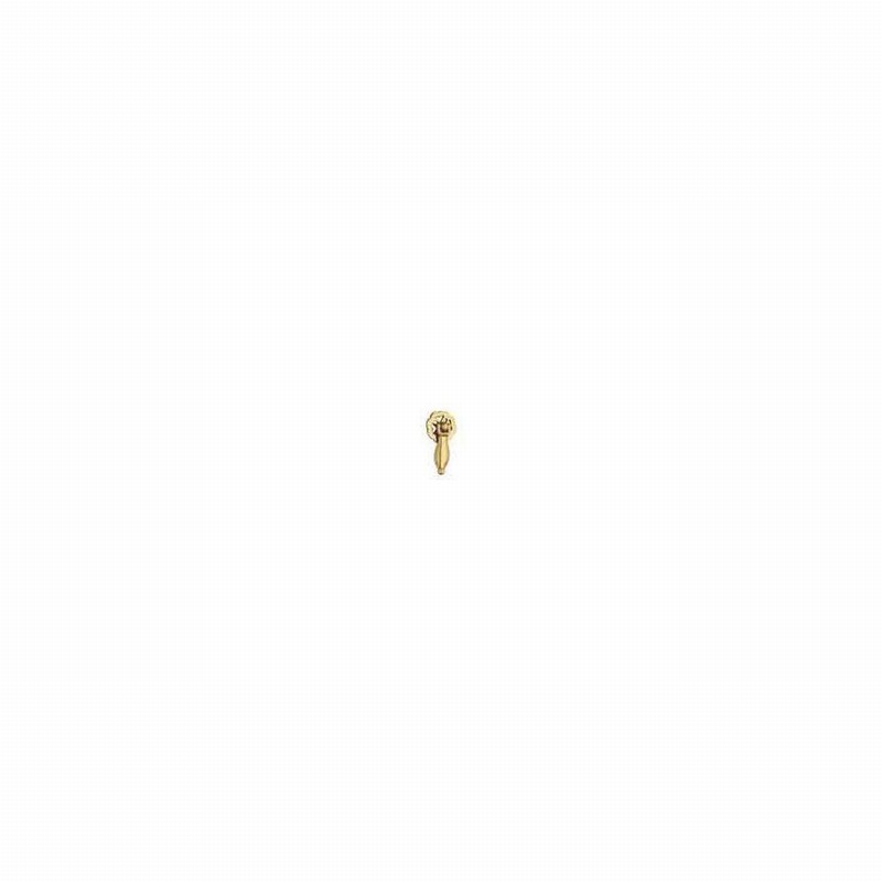 Handle Pull Rosette Peardrop Brs 2" D