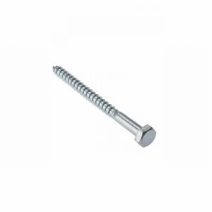 Screw Coach SS M 6x 90mm