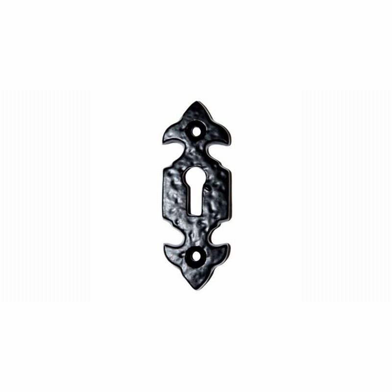Antique Black Escutcheon Plate FdL