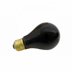 Lamp Black Light 75Watt ES