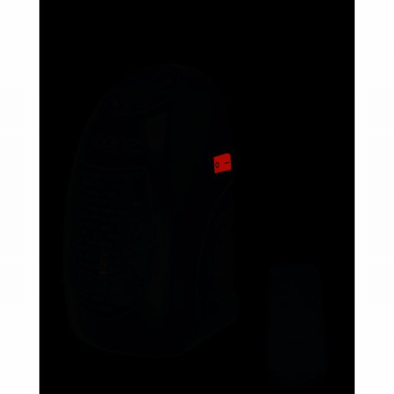 Radiant Heater 400Watt Plug In Stat & Program. & Remote
