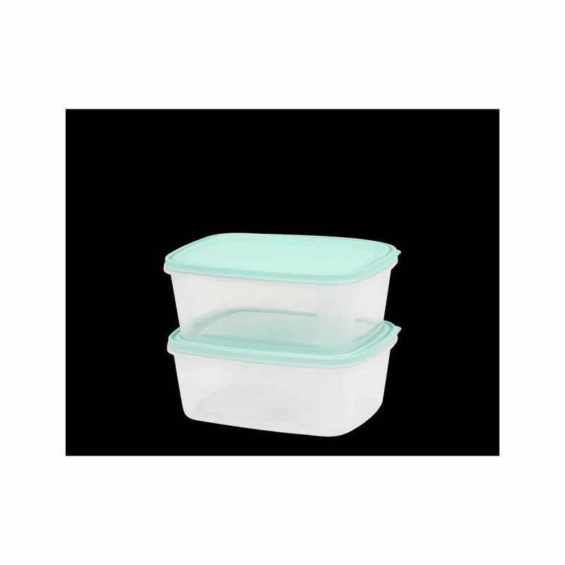 Food Box Rect. 3.0Ltr. EVERYDAY Clear Base x2