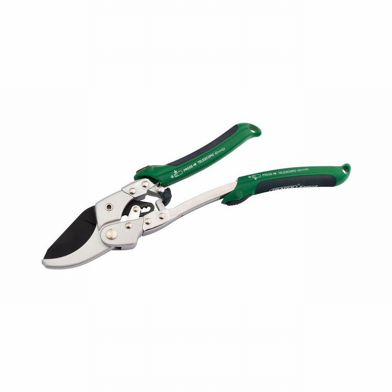 Secateurs DRAPER Expert Extending Anvil Pattern