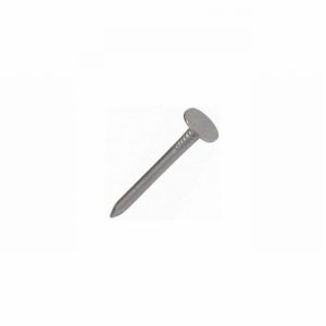 Nail Clout Ex. Lge. 25x3.00mm 500Gm