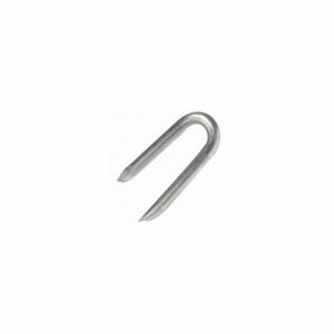 Nail Staple Galv. 25x 500Gm.
