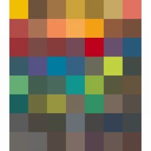 Paint Masonry ENDURANCE Smooth MIXED Strong Colour 5l