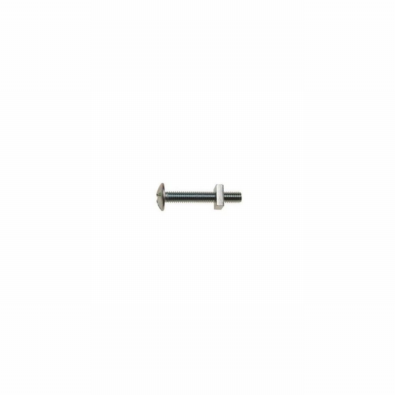 Bolt & Nut Roofing M6 x100mm BZP