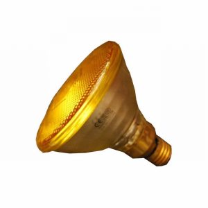 Lamp Par30 75Watt Spot ES