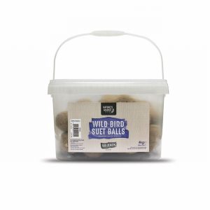 Bird Feed Suet Fatballs x50