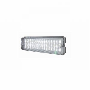 Emergency Light Maintained & Non 6Watt LED IP65