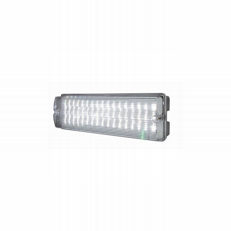 Emergency Light Maintained & Non 6Watt LED IP65