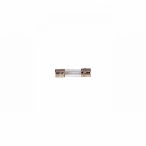 Fuse 20mm 1.0amp