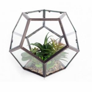 Terrarium Planter Glass & Steel with Im. Cactus