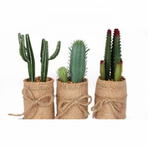 Cactus in Hessian Pot 5x5x15cm x3 Design