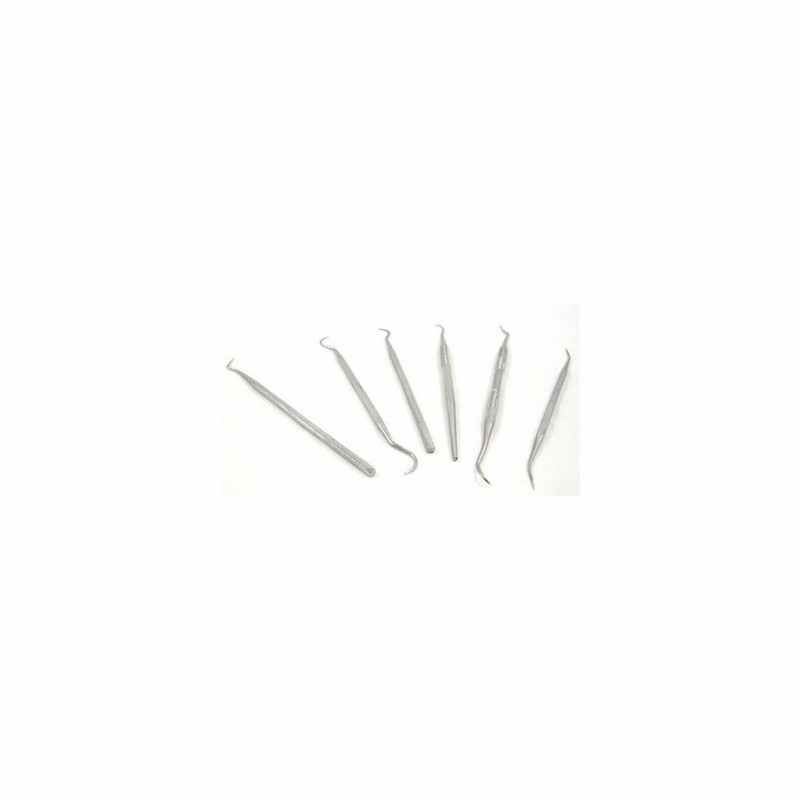 Pick Set 6Pce. Ass.