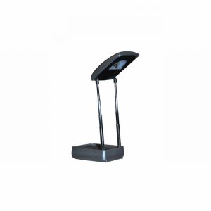 Torch & Desk Light