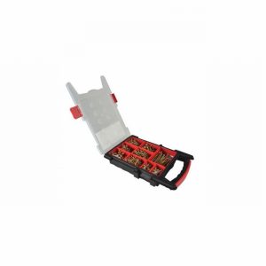 Screw Pack ZYP CSK TORXFAST x1000 & Bits in Case
