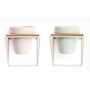 Planter Single in Wall Mounted Wire Frame Green