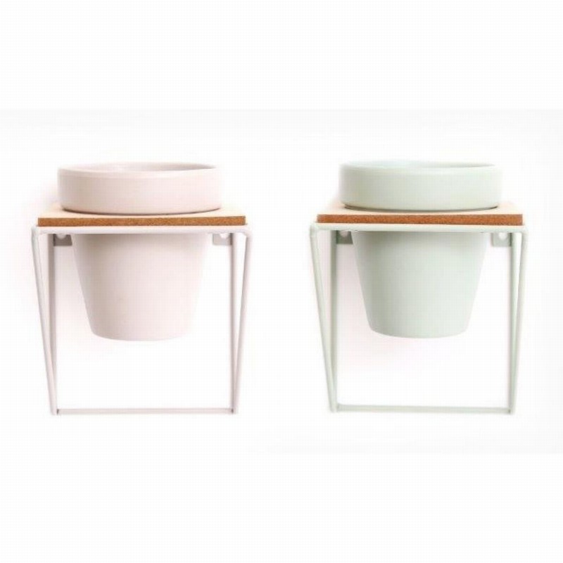 Planter Single in Wall Mounted Wire Frame Green