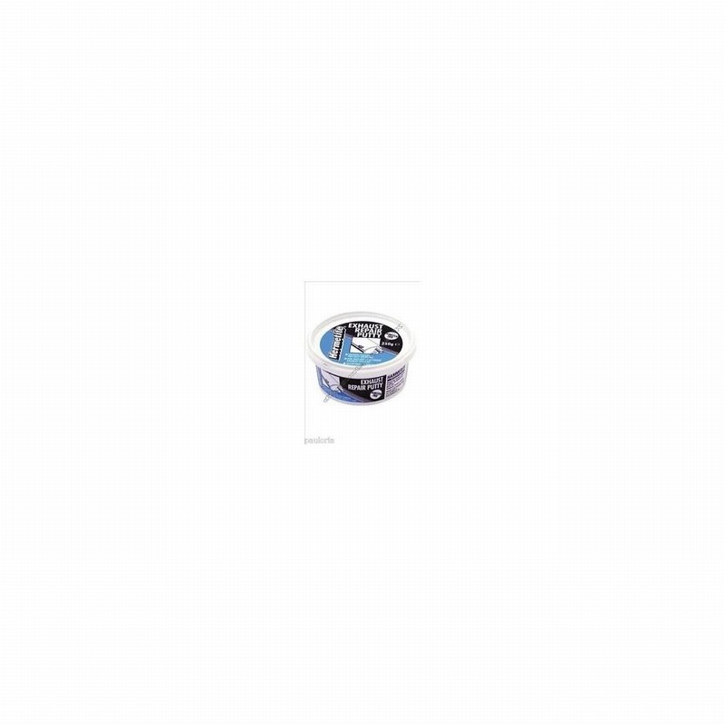 Exhaust Repair Paste 250Gm Tub