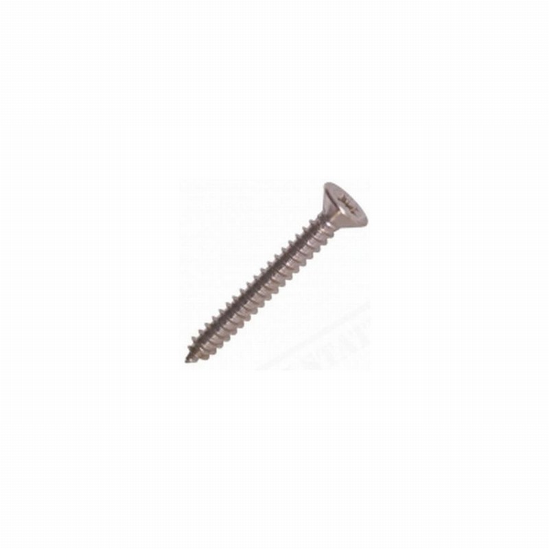 Screw S/T CSK SS 10x1 1/2"(100)