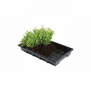 Seed Tray Standard Vac Form x5