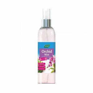 Orchid Mist Feed 250ml Bottle