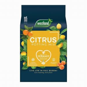 Compost WESTLAND Cacti & Succ.  4Ltr. Seramis Enriched Peat Fre