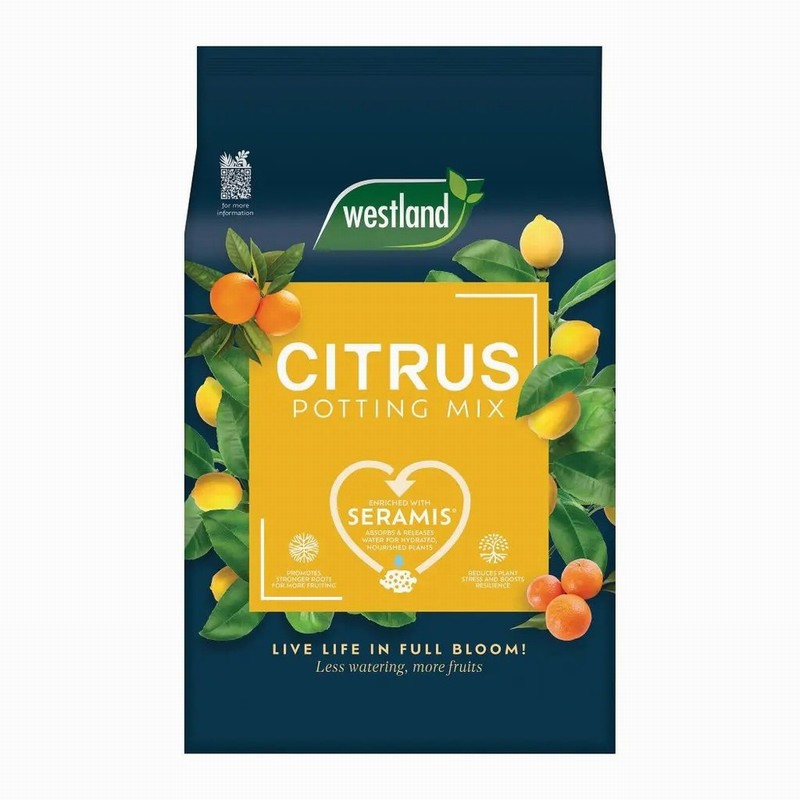 Compost WESTLAND Cacti & Succ. 4Ltr. Seramis Enriched Peat Fre