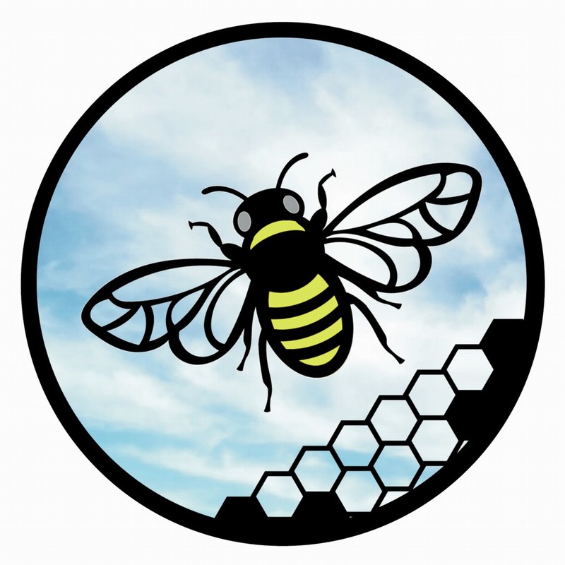 Acrylic Yellow Bee 50cm Black Garden Mirro