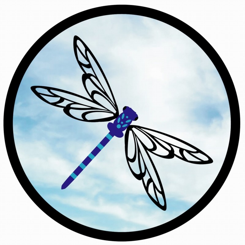Suncatcher 42cm Dragonfly Motif Black Acrylic Garden Mirror