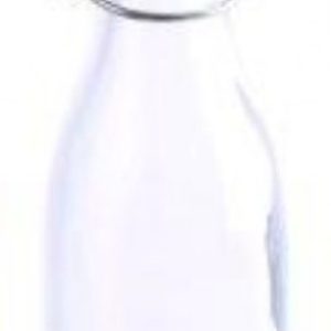 250ml 19cm Cordial Preserving Bottle