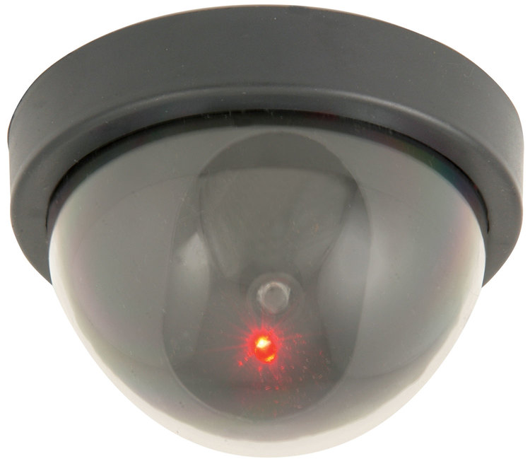 Camera Imitation Dome